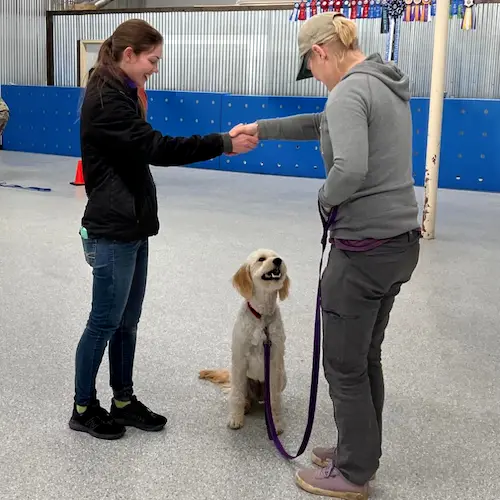 Dog, Handler, and Trainer in Private Lesson